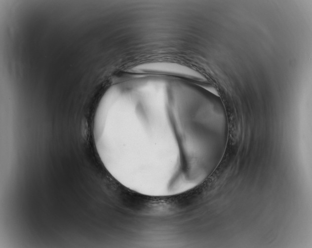 X0000096160704200802151415