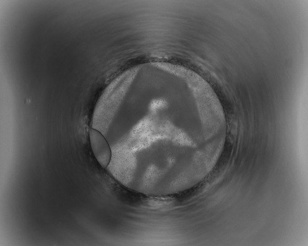 X0000096160707200802151415