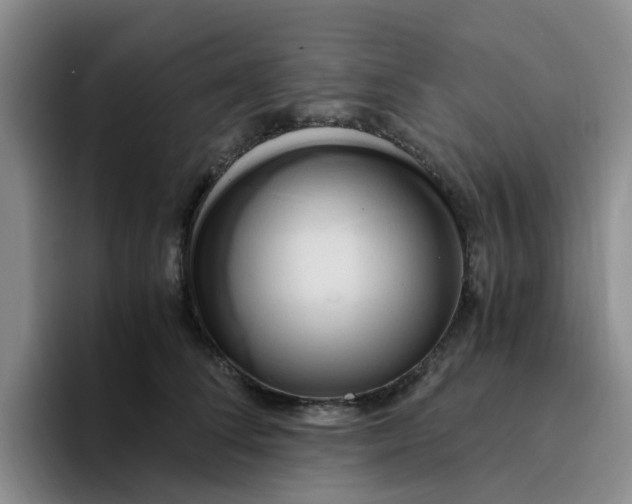 X0000096160708200802151415