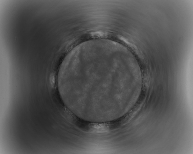 X0000096160709200802151415