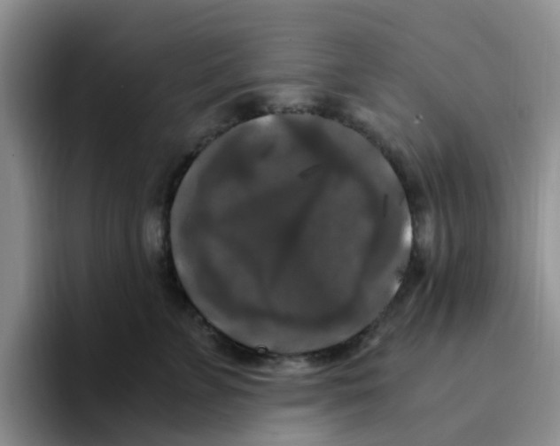 X0000096160715200802151415