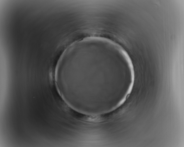 X0000096160720200802151415