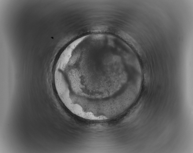 X0000096160721200802151414