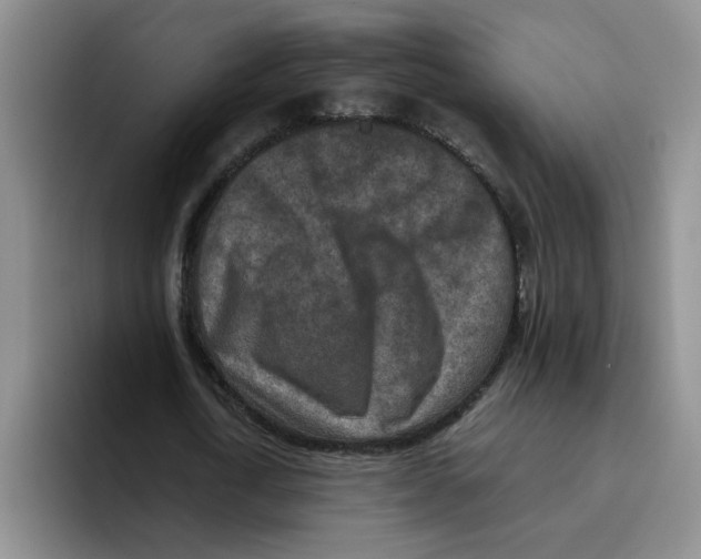 X0000096160722200802151414