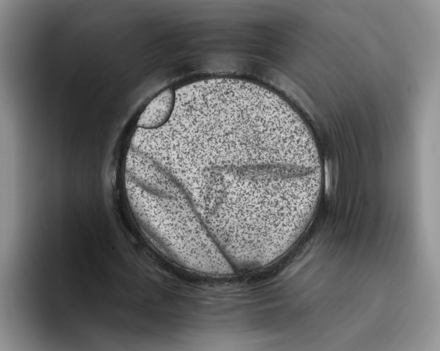 X0000096160723200802151414