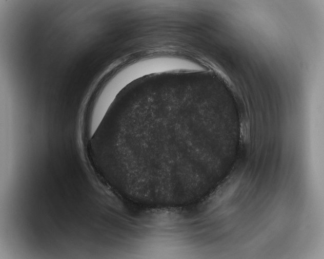 X0000096160724200802151414