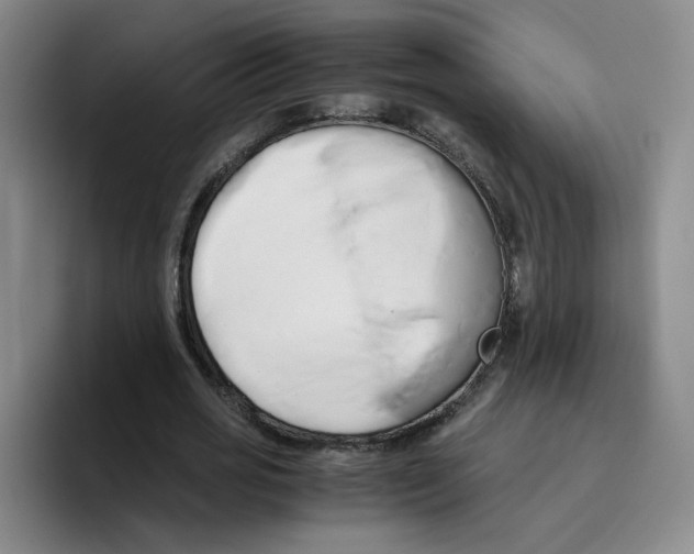 X0000096160725200802151414