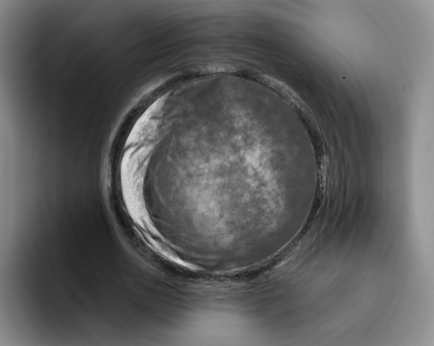 X0000096160726200802151414