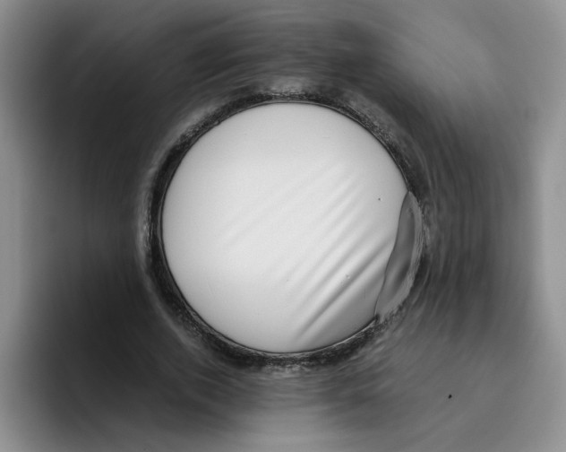 X0000096160728200802151414