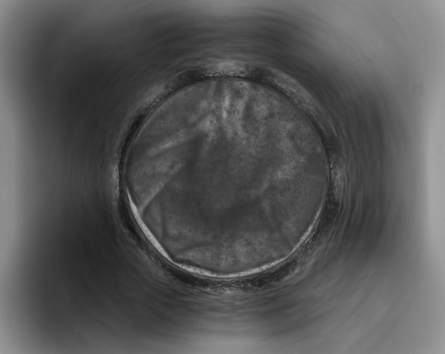 X0000096160729200802151414