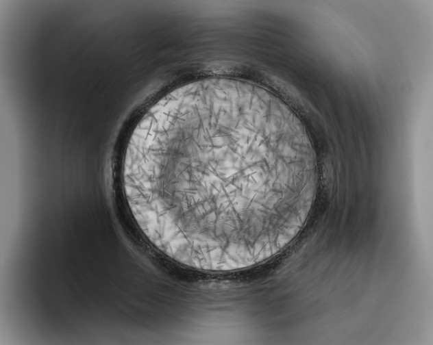 X0000096160730200802151414