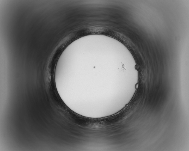 X0000096160731200802151414