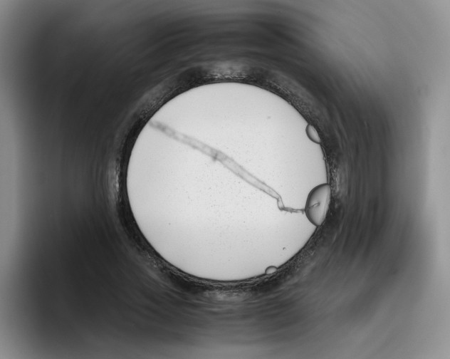 X0000096160733200802151414