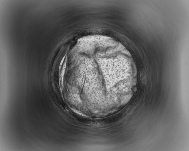 X0000096160735200802151414