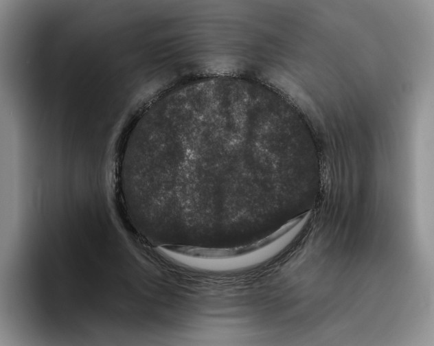 X0000096160736200802151414