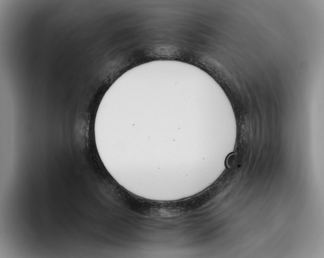 X0000096160739200802151414