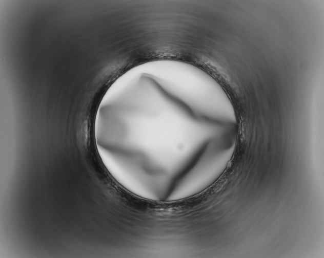 X0000096160740200802151414