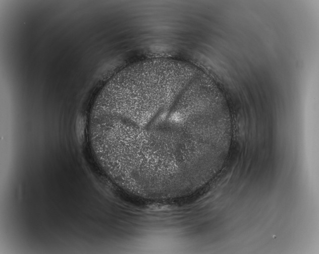 X0000096160742200802151414