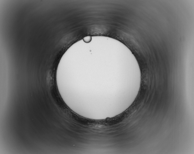 X0000096160743200802151414