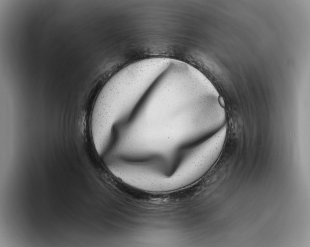 X0000096160744200802151414