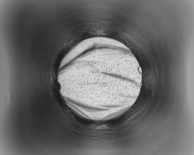 X0000096160747200802151414