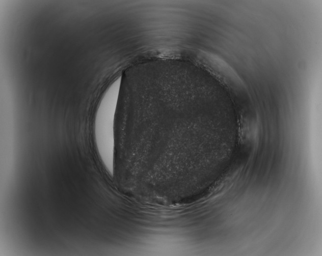 X0000096160748200802151414