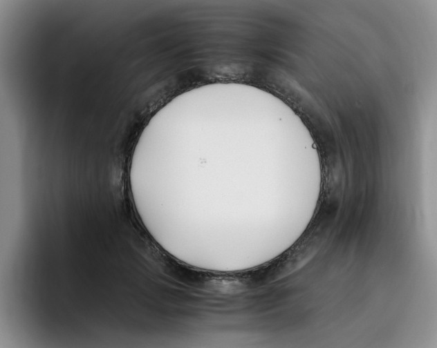 X0000096160749200802151414