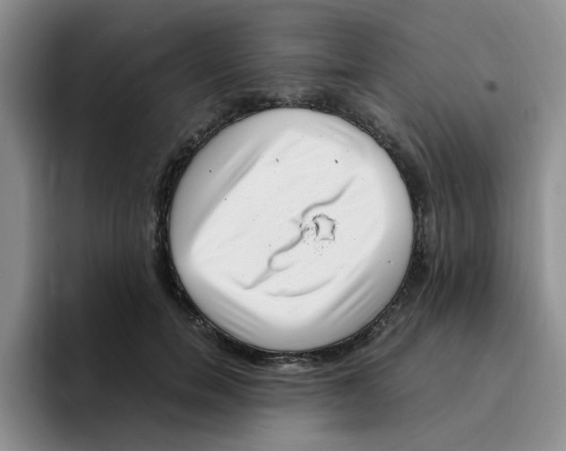 X0000096160750200802151414