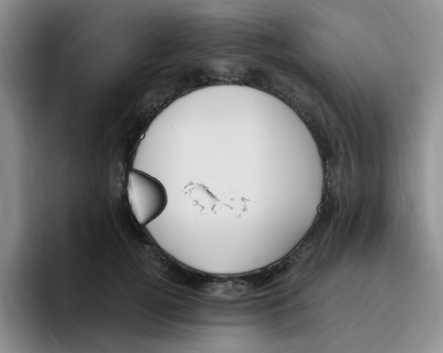 X0000096160752200802151414