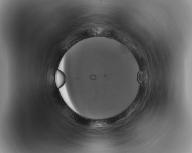 X0000096160754200802151414