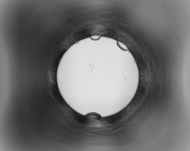 X0000096160755200802151414