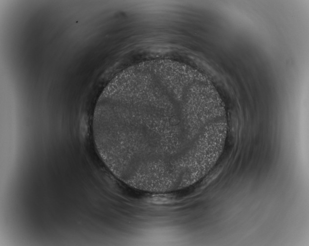 X0000096160758200802151414