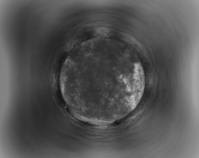 X0000096160759200802151414