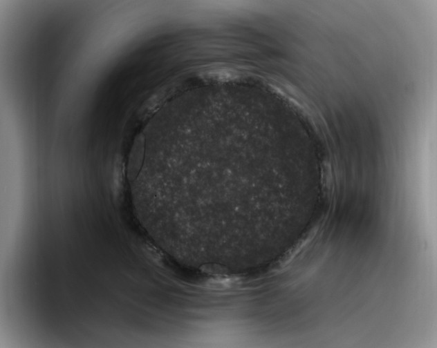 X0000096160760200802151414