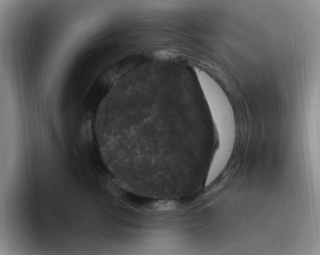 X0000096160762200802151414