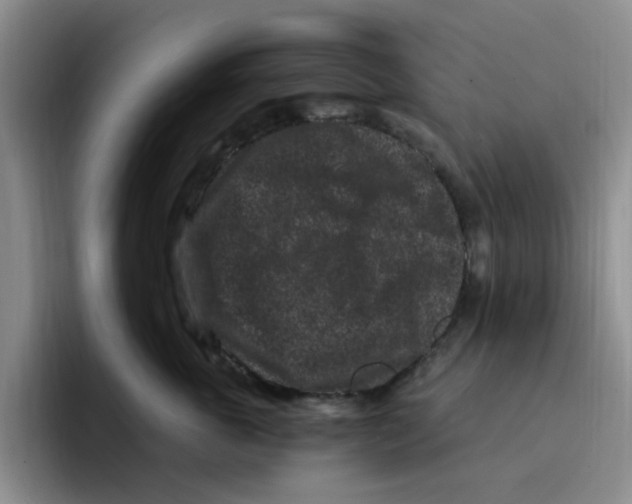 X0000096160763200802151414