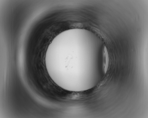 X0000096160764200802151414