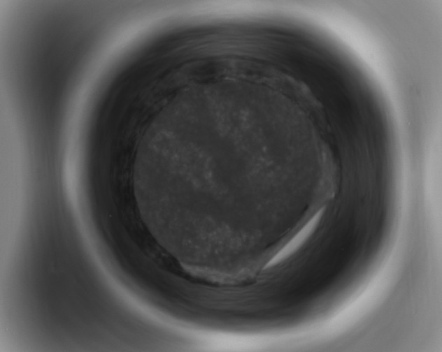 X0000096160766200802151414