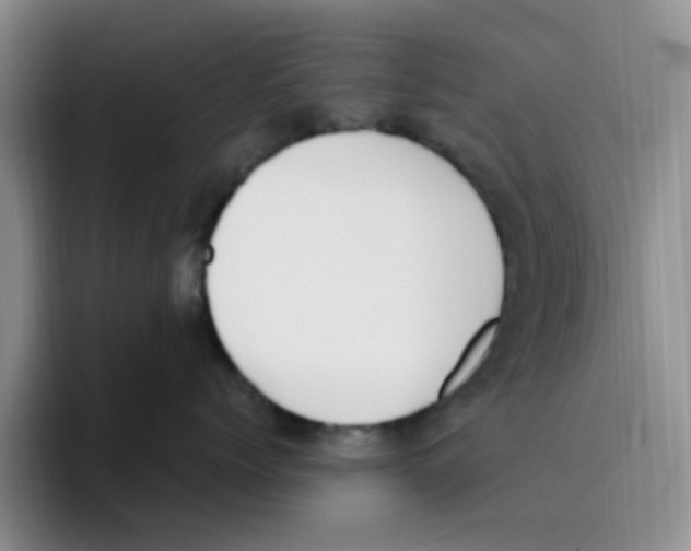 X0000096160768200802151415