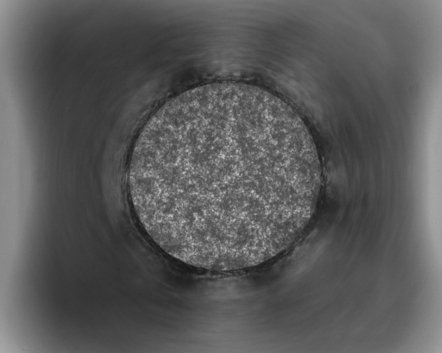 X0000096160769200802151414