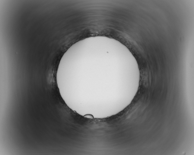 X0000096160770200802151414