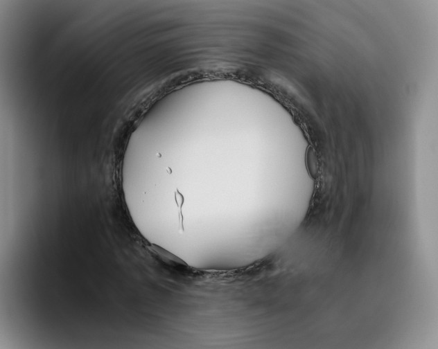 X0000096160773200802151414