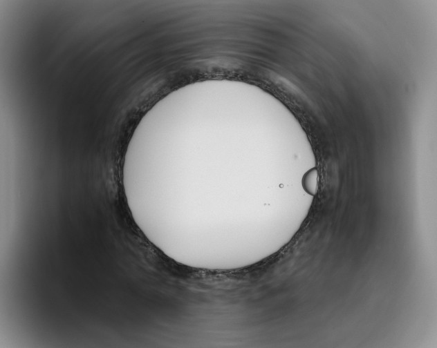 X0000096160774200802151414