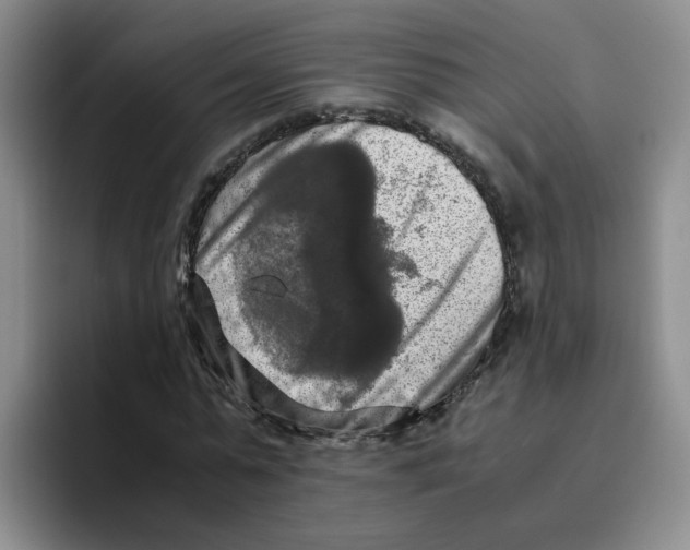 X0000096160775200802151414