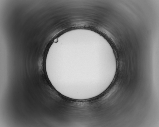 X0000096160778200802151414