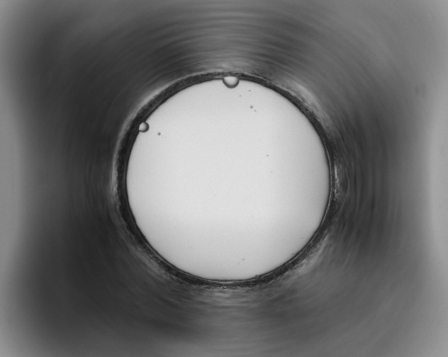 X0000096160780200802151414