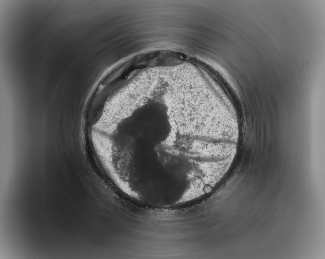 X0000096160783200802151414