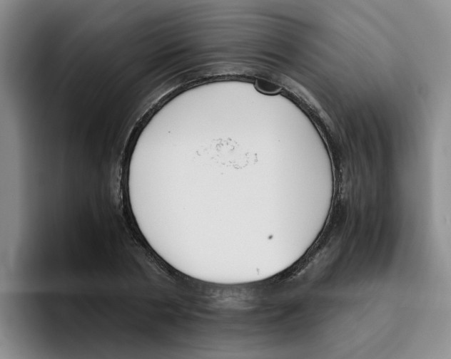 X0000096160786200802151414