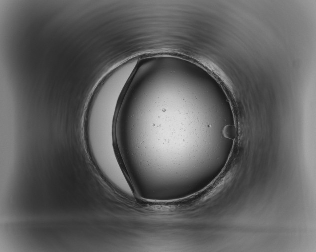 X0000096160789200802151414