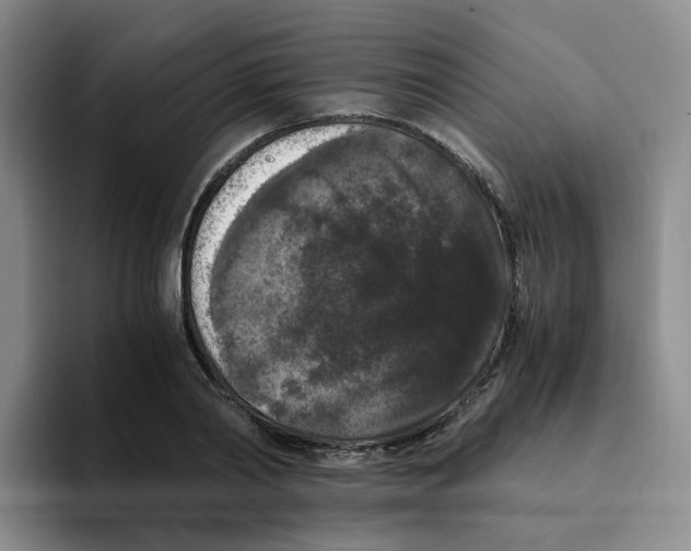 X0000096160790200802151414